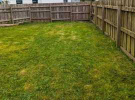 Cheap Lawn Mowing + Strimming (grass cut) Bodmin, wadebridge, St Austell, etc