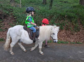 Child's dream 1st Pony