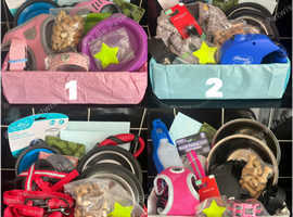 Puppy starter Bundle
