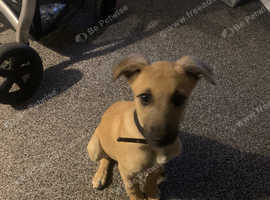 For sale