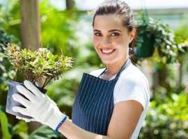 Pressure Washing Greenwich