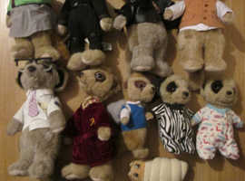 meerkats