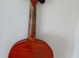 Violin   the Maidstone
