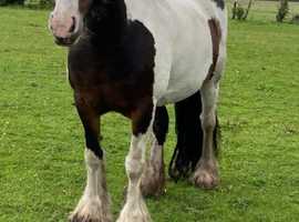 For Loan on present Yard