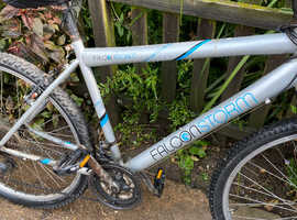Men's bike free