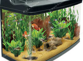 Tropical Fish Aquarium