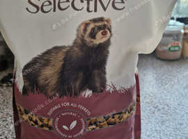 Ferret dry food