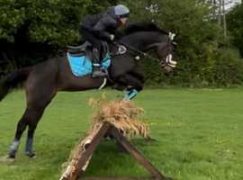 Super safe and easy alrounder
