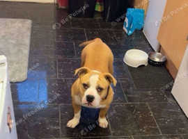 For sale