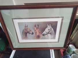 Framed print of race horses