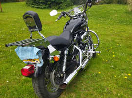 XL 1200 LOW SPORTSTER 2008