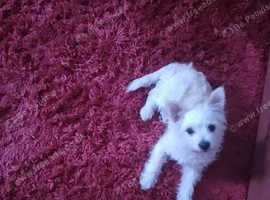 bobby  is 5 months