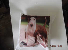 Colorfull Linen Pillow Cover with your pet PHOTO - 40x40cm (T-Shirts Also Available)