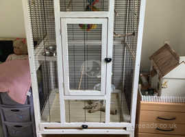 Aviary. Bella Casa bird cage /aviary. Parrot, budgie, canary