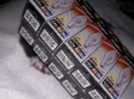 Energizer candle bulbs 60watt x 10