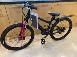 Fantasic Kid's Bike for Christmas!