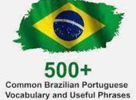 Portuguese Brazilian Online  Lessons with a Journalist