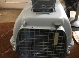 Dog kennel clearance gateshead