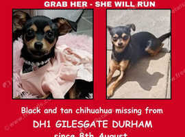 Missing from gilesgate Dh12jf