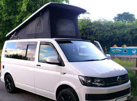VW Transporter (T6) : Campervan (2016) | LOW MILEAGE