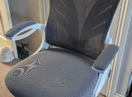 HOLLUDLE Ergonomic office/desk chair with foldable back rest