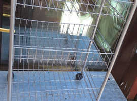 Steel 3 Teir Wheeled Vegetable Rack