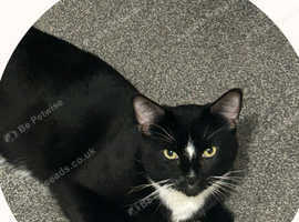 Black and white male