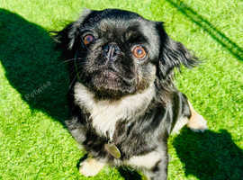 READY TO STEAL YOUR HEART? MEET WINNIE!