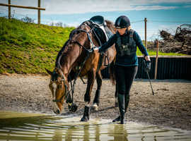 Rowebuck Training and livery