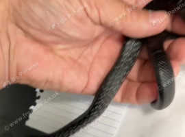 EASTERN INDIGO SNAKES FOR SALE
