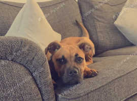 narla