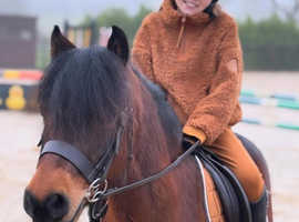 kia is 12hh mare approx, and 6 yrs old