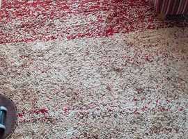 Free Large Rug