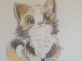 Kitten hand drawn