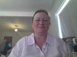 Cat sitter and house sitter