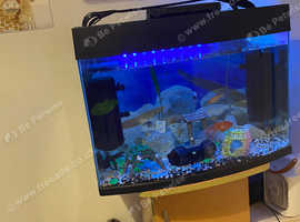 Tank with fish in