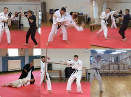 Martial arts the Venue Stanley 1st lesson free