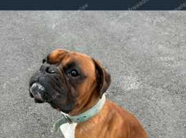 For sale