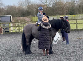 Summer Loan wanted for a 10yr old needs to be able to move yards