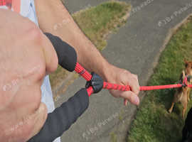 Double Dog Leash - Reflective Dual Lead For Two Dogs from Calmshops