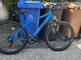 Mountain bike