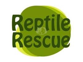 Reptile rehoming/rehabilitation