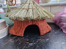 Hamster hut and ball