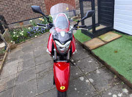 Suzuki inazuma