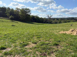 Assisted Grass livery available for 2 horses or ponies