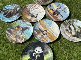 8 beautiful plates for sale £10 the lot