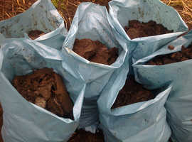 organic manure, very well rotted. Bagged. £2.50.