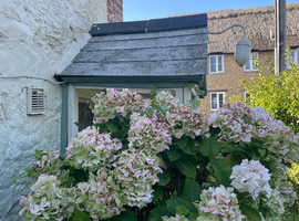 Thatched Cob Cottage by Sea.  Dorset Coast.