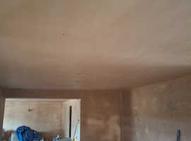 D.W.Plastering Services