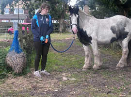 Heavy weight cob